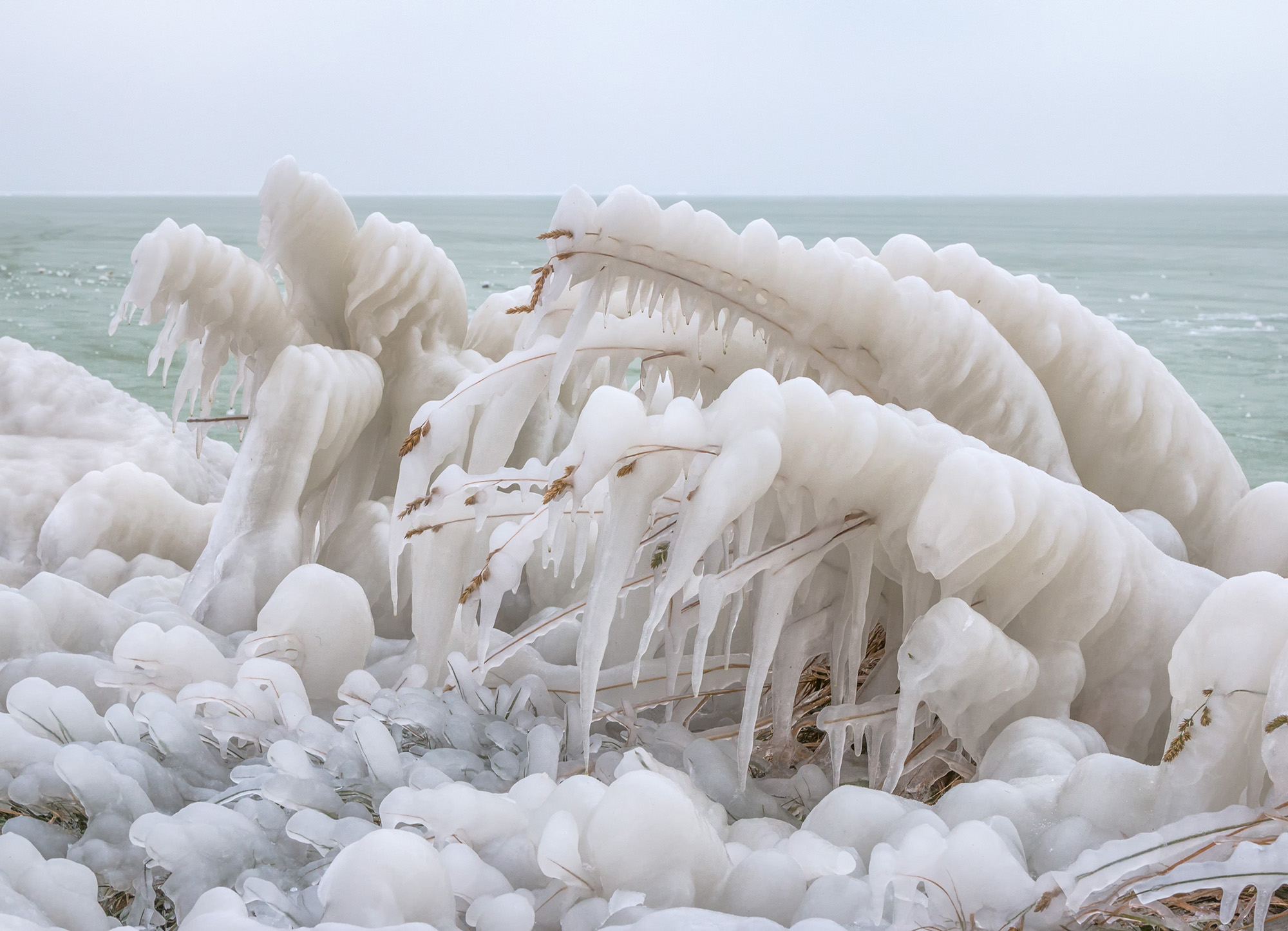 Белая вода. Любители белой воды. Белая вода как называется. Кто такой белый в воде.